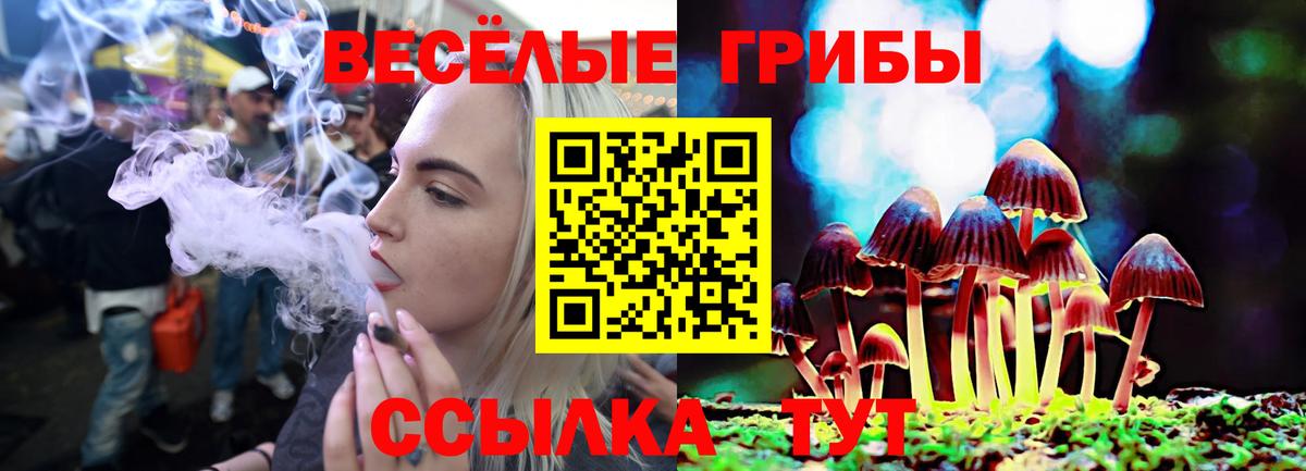 Галлюциногенные грибы Magic Shrooms Симферополь